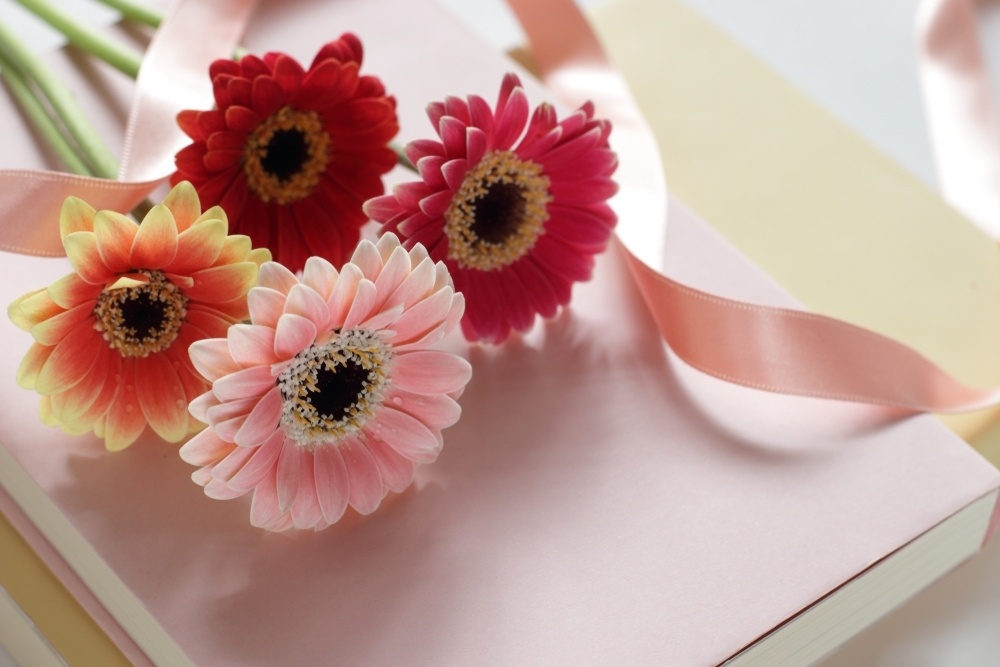 Gerbera – tato květina bývá nejvíce vybírána inteligentními ženami, které si vždy svůj krok dobře promyslí.