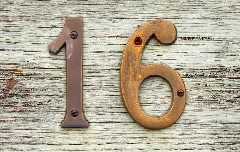 Šestnáctka na svého nositele může působit osamělým dojmem. Tento člověk má rád své soukromí a svůj vlastní klid. Práce v týmech pro něj není tím pravým a tím, že je to emocionální osoba, vyjadřovat své city a názory nějak veřejně není jeho šálek kávy.