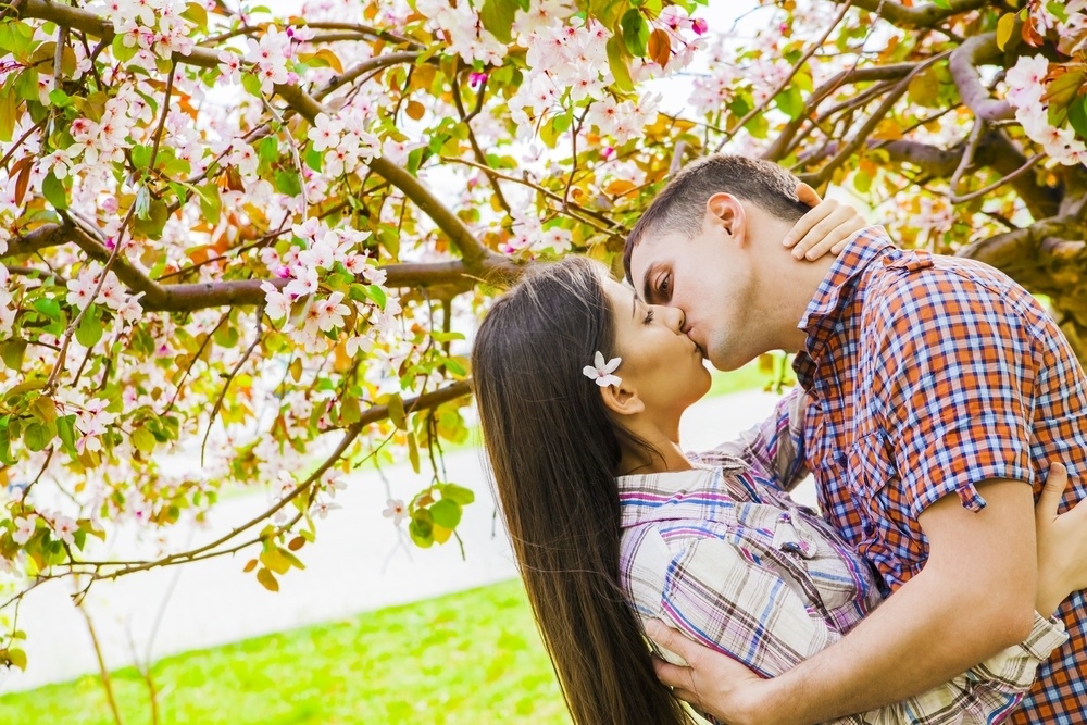 Proč se líbá pod rozkvetlou třešní?