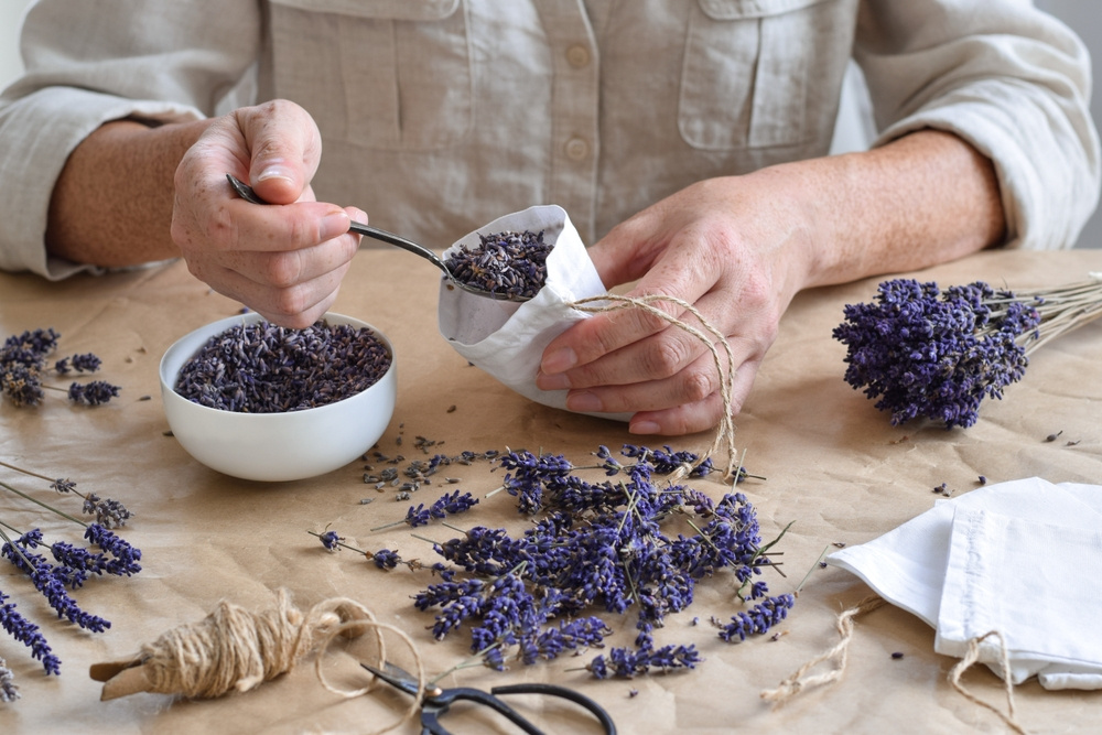 Sušená levandule má spoustu použití. Pochvalovat si ji budete na ...