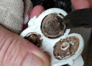 Nevěděla, proč je její dítě pořád nemocné. Když pak odmontovali vršek lahvičky, uviděla tohle!