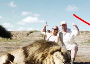 Pytlák s jeho ženou se natáčeli u lva, kterého zastřelili. To ale netušili, že za nimi je další lev!