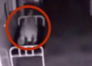 Na nemocniční chodbě ležela mrtvá žena. Záběr z bezpečnostní kamery odrovná bez výjimky každého!