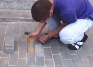 Uslyšel zvuky zpod chodníku a tak začal hned kopat. To, co pod ním našel, je až nelidské...