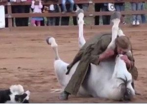 Povalil koně na zem a políbil ho. Až ale uvidíte, co následovalo potom, spadne vám čelist!