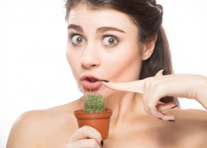 Pěstování kaktusů podle feng shui: Aby vám neškodily, umístěte je vedle počítače nebo televize