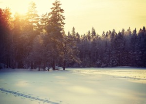 Horoskop na 4. týden (21.1. 2019 -27.1. 2019)