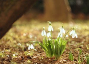 Horoskop na 10. týden (4.3. 2019 -10.3. 2019)