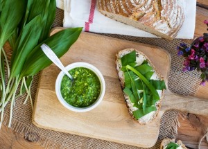 Recepty z medvědího česneku: Pochutnáte si a zároveň podpoříte své zdraví