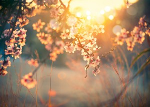 Horoskop na 14. týden (1.4. 2019 -7.4. 2019)