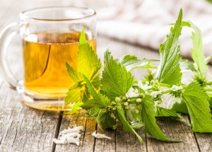 Mladé kopřivy mají na jaře největší sílu: Prospějí vašim vlasům, kůži i celkovému zdraví