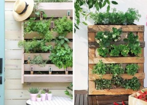 Poznejte kouzlo vertikálních záhonků: Pěstovat rostliny můžete i bez zahrady