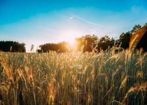 Velký měsíční horoskop na červen 2019 pro každé znamení