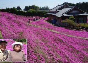 Pravý důkaz lásky, který se stal v Japonsku turistickou senzací: Milující manžel vybudoval své slepé ženě voňavou květinovou zahradu