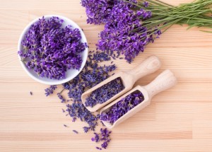 Co všechno si můžete vyrobit z levandule? Vyzkoušejte levandulový sirup, olej či paličky, které vám připomenou dalekou Provence