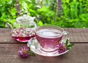 Červený jetel je zázračnou bylinkou pro ženy v menopauze: Potlačuje návaly horka a zlepšuje náladu