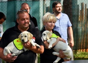 Projekt Tlapka v dlani: Výchova budoucích vodicích psů vězni ve výkonu trestu