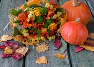 Dýňový květináč s živými rostlinami: Kombinace, která baví