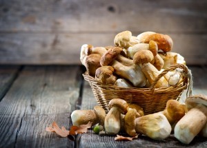 Jak zpracovat houby? Sušte, mrazte i nakládejte