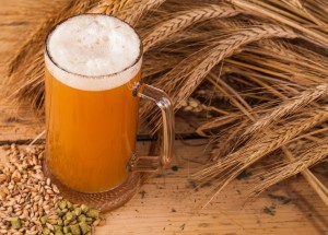 Jak využít pivo jinak než k pití? Pomůže vám v domácnosti, na zahradě i v péči o krásu