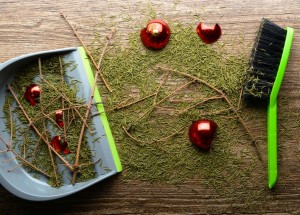 Co s živým vánočním stromkem, který dosloužil: Vyrobte z něj ptačí krmítko nebo jej zaneste do zoo