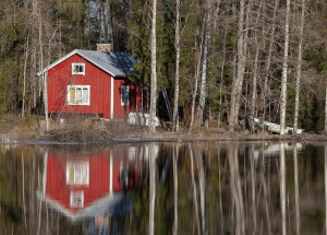 Horoskop na 44. týden (8. 11. 2021 - 14. 11. 2021)