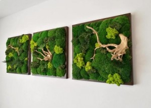 Obrazy z mechu jako nový trend: Pusťte se do tvoření a pozvěte k sobě domů přírodu