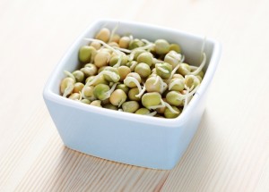 Postní jídla našich předků: Je libo pučálka, pražmo nebo kočičí tanec?