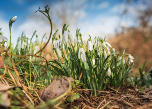 Velký měsíční horoskop na březen 2020 pro každé znamení