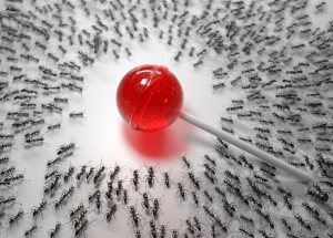 Jak se zbavit mravenců bez chemie: Překřižte jim cestičku práškem do pečiva nebo čárou nakreslenou bílou křídou