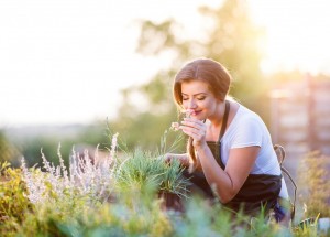 Založte si bylinkovou zahrádku. Duben je ideálním obdobím