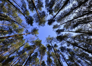 Horoskop na 40. týden (28. 9. 2020 - 4. 10. 2020)