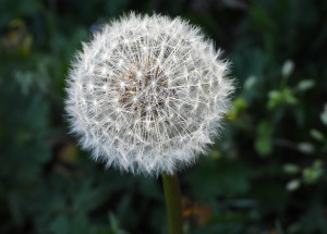 Horoskop na 22. týden (1. 6. 2020 - 7. 6. 2020)