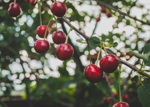 Velký měsíční horoskop na červen 2020 pro každé znamení