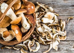 Jak správně sušit houby? Aby vám nezplesnivěly, vyzkoušejte triky našich babiček