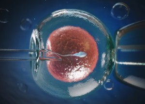 Norsko přijalo zásadní změnu: I svobodné ženy zde konečně mohou podstoupit umělé oplodnění