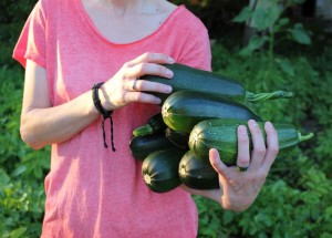 I cukety mohou být jedovaté. Vyhýbejte se hořkým plodům, obsahují jed kukurbitacin