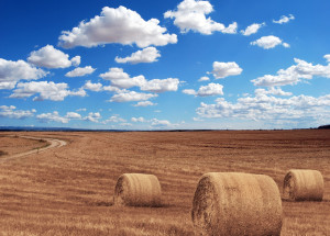 Horoskop na 33. týden (10. 8. 2020 - 16. 8. 2020)