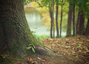 Horoskop na 39. týden (21. 9. 2020 - 27. 9. 2020)