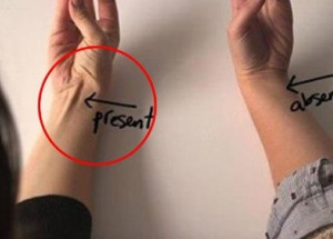 Spojte malíček a palec. Pokud se vám na ruce objeví šlacha, prozradí to o vás jednu věc!