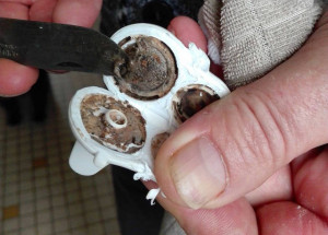 Kanadské mamince bylo divné, proč je její dítě stále nemocné. Když rozšroubovala dětský netekoucí učící hrneček, našla odpověď