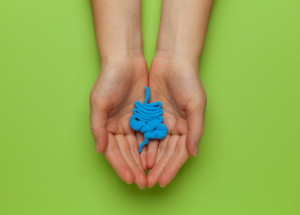 Ve střevech máme uložený druhý mozek, říkají vědci. Stav střevní mikroflóry ovlivňuje naši imunitu, náladu a vznik některých nemocí