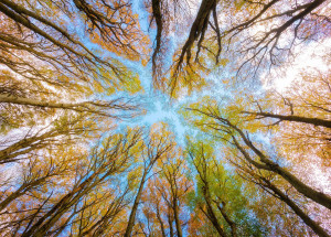 Velký měsíční horoskop na září 2021 pro každé znamení