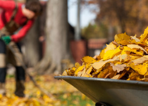 Velký měsíční horoskop na listopad 2020 pro každé znamení