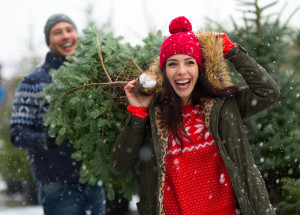 Jak vybrat vánoční stromeček, který vám doma rychle neopadá: Stromek kupujte venku a zaměřte se na stav jeho jehličí