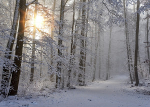 Horoskop na 3. týden (18. 1. 2021 - 24. 1. 2021)