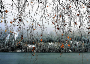 Horoskop na 48. týden (6. 12. 2021 - 12. 12. 2021)