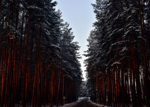 Horoskop na 5. týden (1. 2. 2021 - 7. 2. 2021)