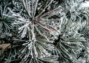 Velký měsíční horoskop na únor 2021 pro každé znamení