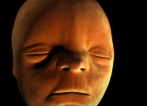 Víte, proč máme malou prohlubeň mezi nosem a vrchním rtem? Tohle vám to objasní